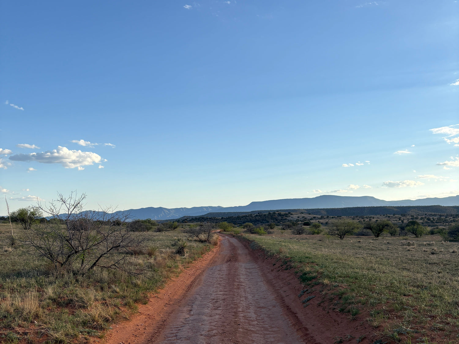 Carbs on the open road — the power of good fueling on an adventure and tips on how to do it