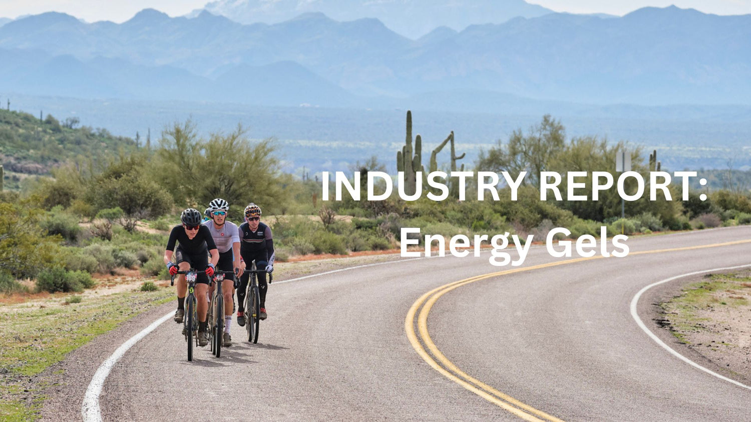 Industry Report: Energy Gels